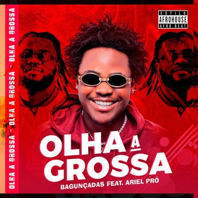 Olha a Grossa ... House Music ♪ (feat. Ariel Pro) - Single