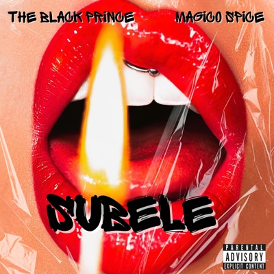 Subele (feat. Mágico Spice & Rude styla) - Single