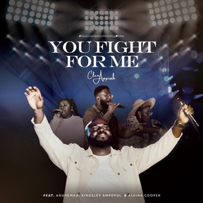 You Fight for Me (feat. Aduhemaa, Kingsley Ampoful & Alvina Cooper) - Single