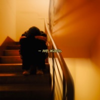 Не жаль - Single - SNK