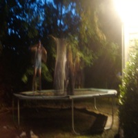 Trampoline - Single - Bhgtwthbg