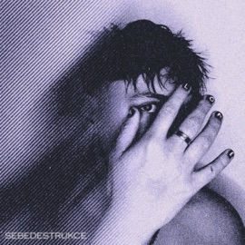 Sebedestrukce Alone