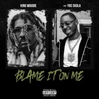 Blame It On Me (feat. YBS Skola) - Single - King Woudie