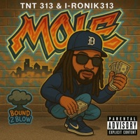 Move - Single - Tnt 313 & I-Ronik313