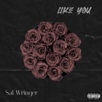 Like You - Single - Sal Wringer
