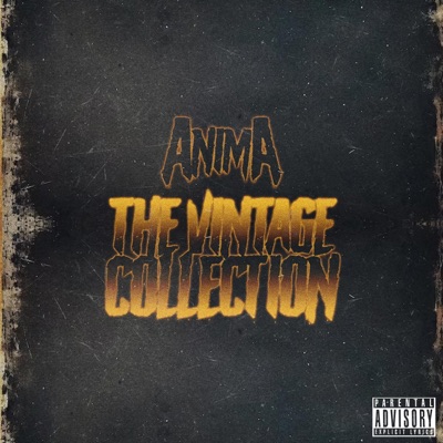 The Vintage Collection