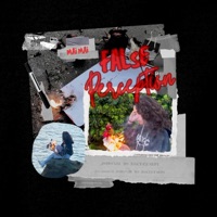 False Perception - Single - Mai Mai