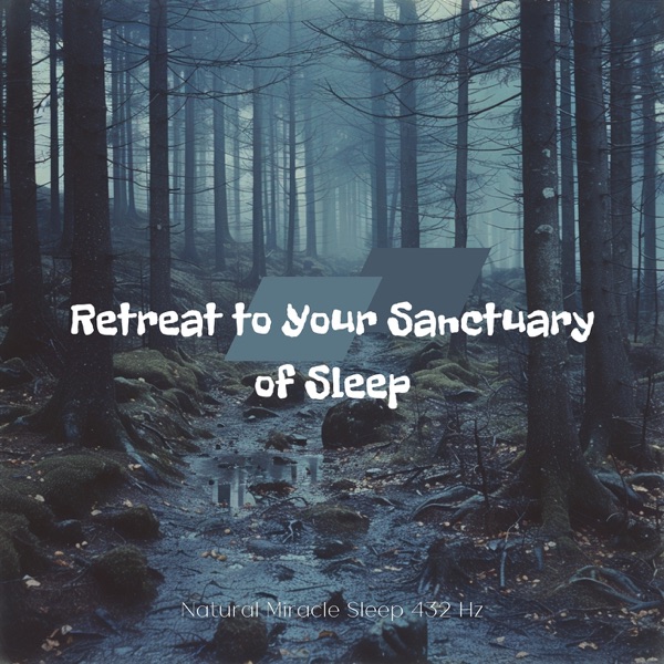 Retreat to Your Sanctuary of Sleep