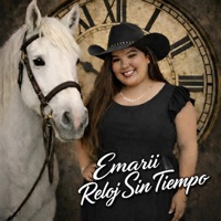 Reloj Sin Tiempo