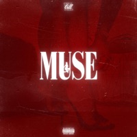MUSE - Single - Till