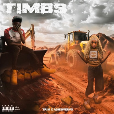 Timbs (feat. Ashswervo) - Single