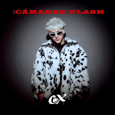 SIN CÁMARAS SIN FLASH - Single