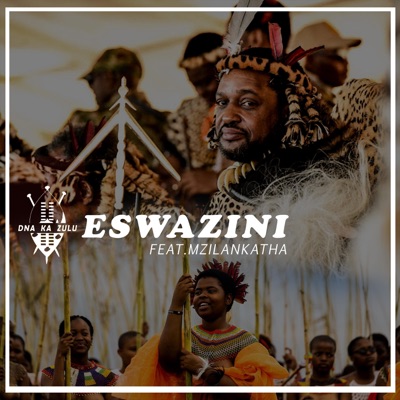 eSwazini (feat. Mzilankatha Mbhali) - Single