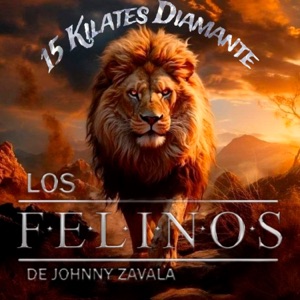 15 Kilates Diamante