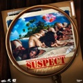 Suspect by Malie Donn