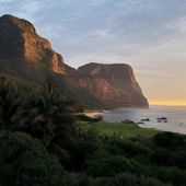 In a Tropical Paradise