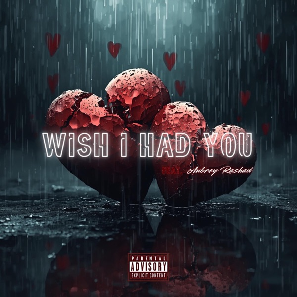 Wish I Had You (feat. Aubrey Rashad)