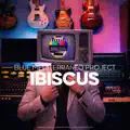 Ibiscus