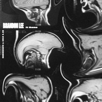 Brandon Lee - Single - Solok.Os, SabioBeats & Dano