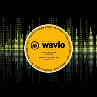 TRY IT OUT (feat. Zulu Abantu) - Single - KRIDS