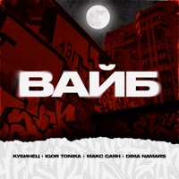 Вайб - Single - Kubinets, Igor Tonika, Макс Саян & Dima Namars