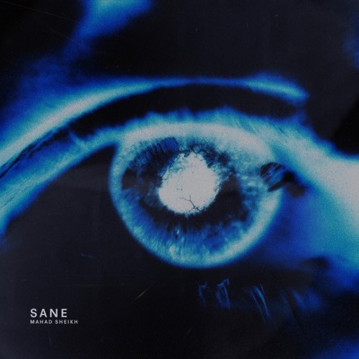 Sane (feat. Muhaimin) - Single