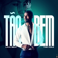 Tão Bem (feat. Laya Beat & YnG Cole) - Single - DJ STYLE OF MUSIC