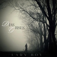 Días grises - Single - Lary boy