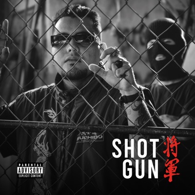 Shotgun
