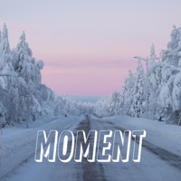 Moment