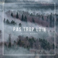 Pas trop loin - Single - Miguel Michel