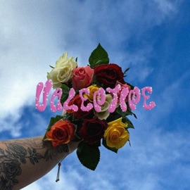 Valentine Distracted