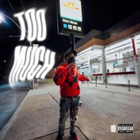 Too Much - Single - 100Bandplan