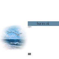 But It's Ok - Single - The Real Nuke