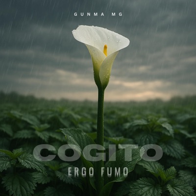 COGITO ERGO FUMO (feat. Kidd Peko) - Single