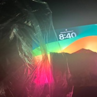 WRONG CUP - Single - Full Trip