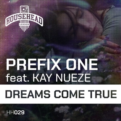 Dreams Come True (feat. Kay Nueze) - Single