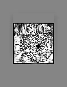 收听 merando、观看音乐视频、阅读小传、查看巡演日期等 ！