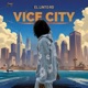 VICE CITY Single