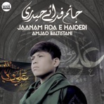 Jaanam Fida E Haideri - Single