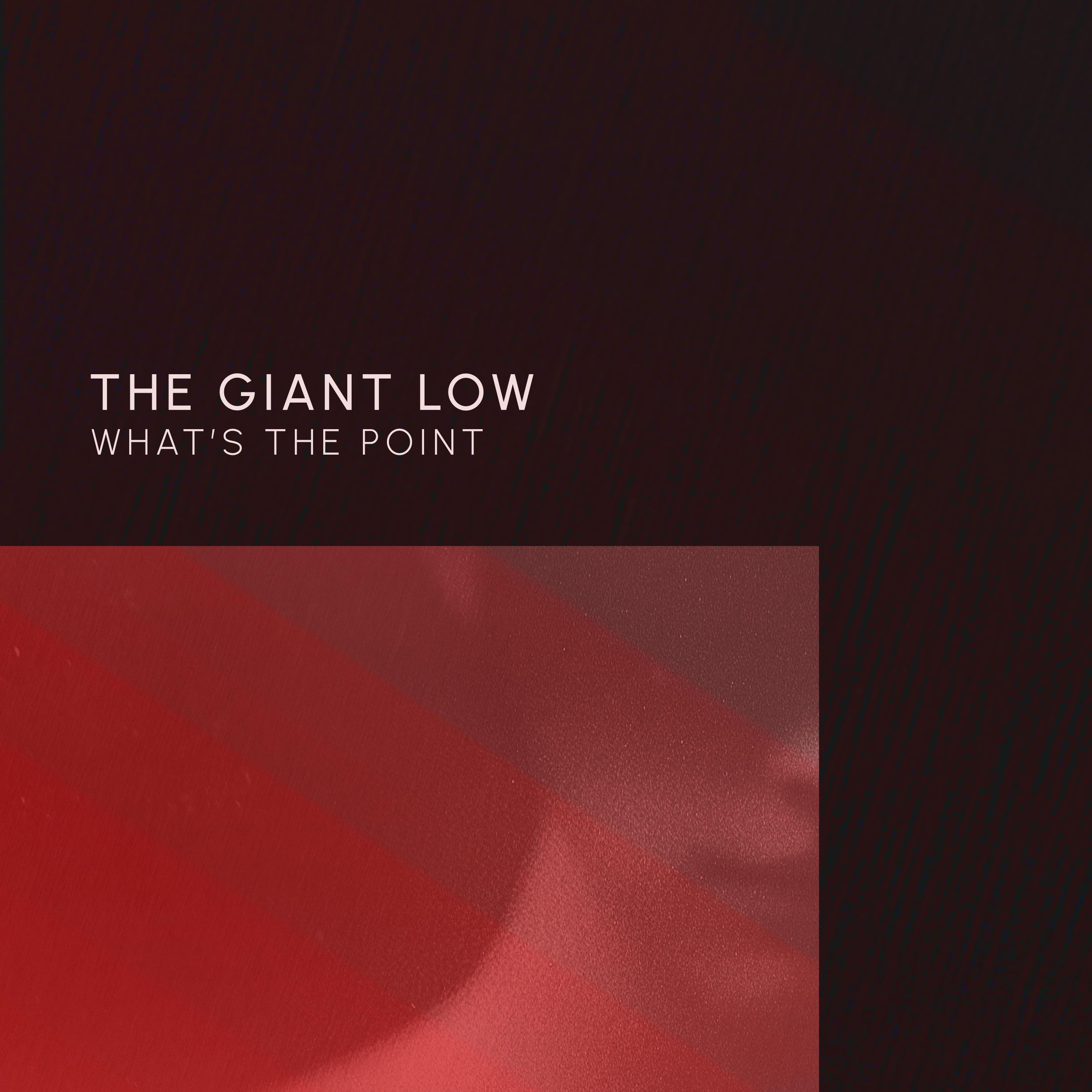 What's The Point - Single