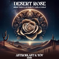 Desert Rose (feat. Laila EL Akkaf) - Single - Mehdi Yakin & Ali Balla