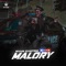 Malory - Ryan Castro lyrics