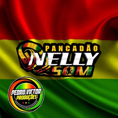 dj marcinho pancadao nelly som - MELO DE PANCADÃO NELLY SOM VS REGGAE FUNK 2025 PVP