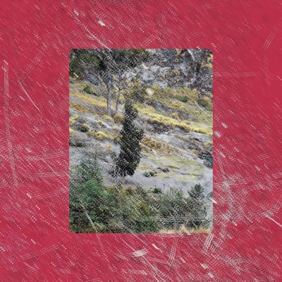 Desde que te ví (feat. KEYDI) - Single