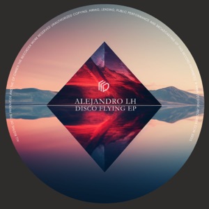 Disco Flying - Single