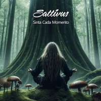 Sinta Cada Momento - Single - Sattivus