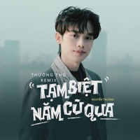 Tạm Biệt Năm Cũ Qua (Thưởng Thỏ Remix) - Single - Nguyen Thuong