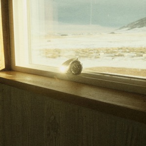 Time Zones - Single