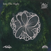 Into The Night (feat. Marcorosso) - Single - vvind